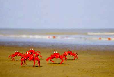 coxs-bazar