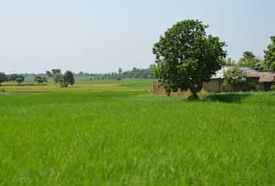 North Bengal Bengal Holidays